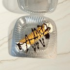 Best Cannoli in Blacksburg, VA